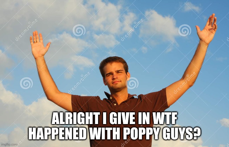 ALRIGHT I GIVE IN WTF HAPPENED WITH POPPY GUYS? | image tagged in just explain | made w/ Imgflip meme maker