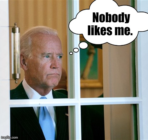 33% approval rating and continuing to fall. | Nobody likes me. | image tagged in sad joe biden | made w/ Imgflip meme maker