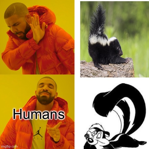 Drake Hotline Bling | Humans | image tagged in memes,drake hotline bling | made w/ Imgflip meme maker