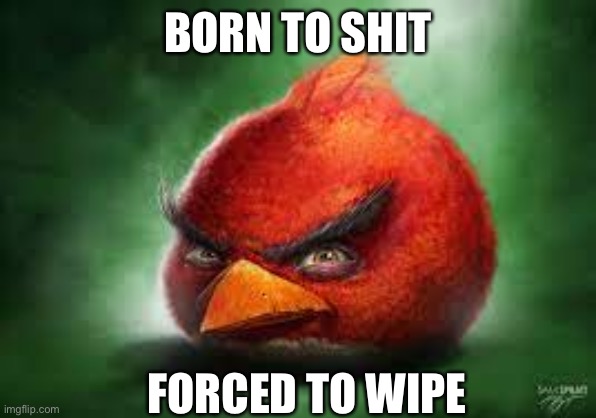 Gn | BORN TO SHIT; FORCED TO WIPE | image tagged in realistic red angry birds | made w/ Imgflip meme maker