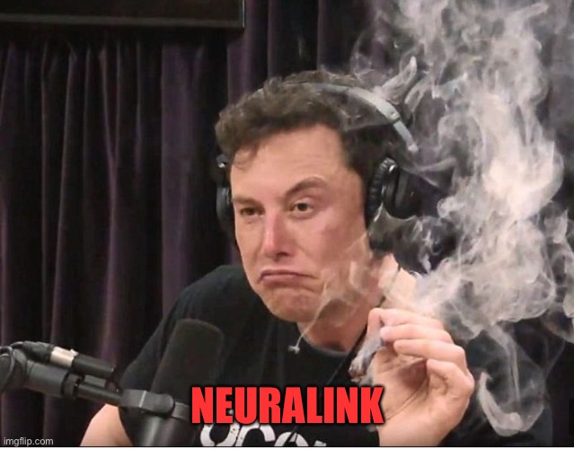 Elon Musk smoking a joint | NEURALINK | image tagged in elon musk smoking a joint | made w/ Imgflip meme maker
