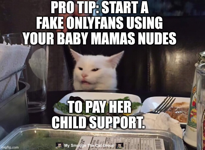 PRO TIP: START A FAKE ONLYFANS USING YOUR BABY MAMAS NUDES; TO PAY HER CHILD SUPPORT. | image tagged in smudge the cat | made w/ Imgflip meme maker