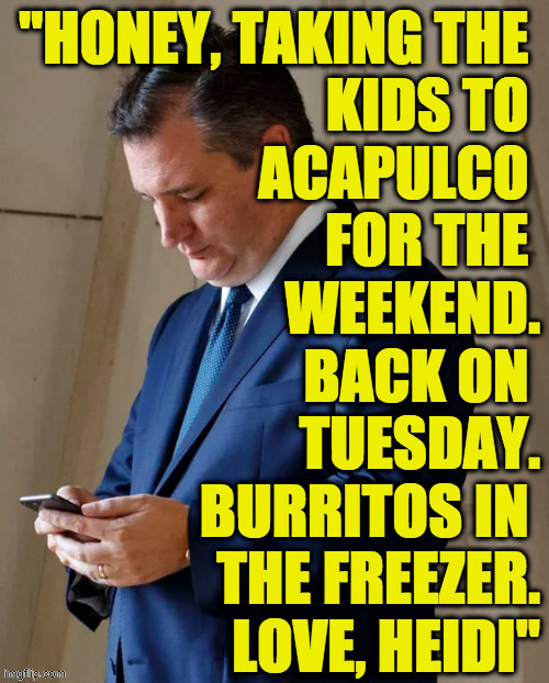 The Mexican word of the day is brrrr-ito  ( : | image tagged in memes,ted gets a text,mexican word of the day,long weekend,chili today,cold tamale | made w/ Imgflip meme maker