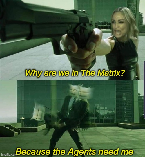 lmfaoo | Why are we in The Matrix? Because the Agents need me | image tagged in matrix cat | made w/ Imgflip meme maker
