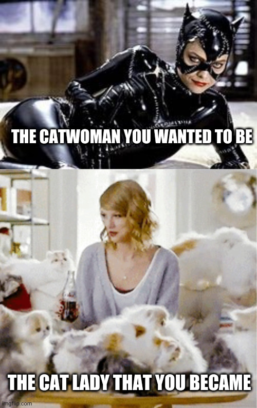  THE CATWOMAN YOU WANTED TO BE; THE CAT LADY THAT YOU BECAME | image tagged in catwoman | made w/ Imgflip meme maker