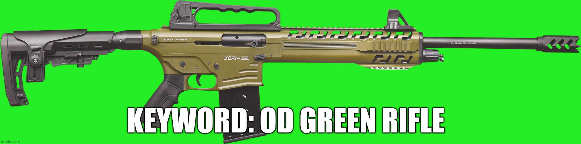Keyword: OD green rifle | KEYWORD: OD GREEN RIFLE | image tagged in od green rifle | made w/ Imgflip meme maker