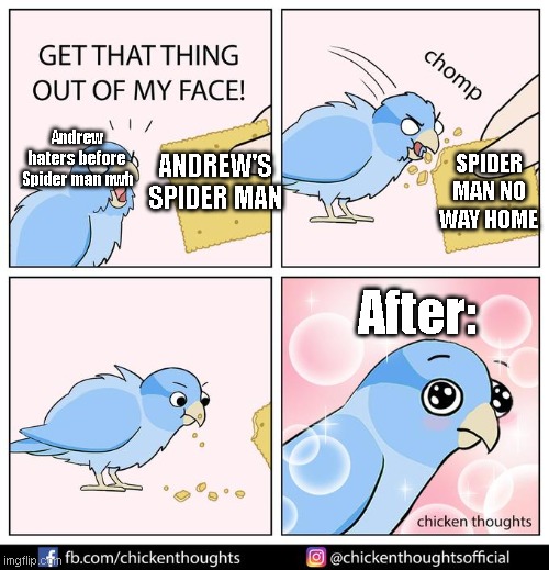 it's true though | Andrew haters before Spider man nwh; SPIDER MAN NO WAY HOME; ANDREW'S SPIDER MAN; After: | image tagged in get that thing out of my face | made w/ Imgflip meme maker