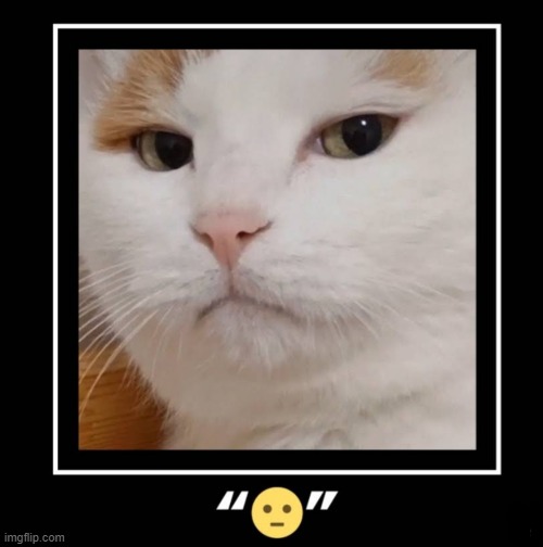 emojis in real life | image tagged in repost,emojis,emoji | made w/ Imgflip meme maker