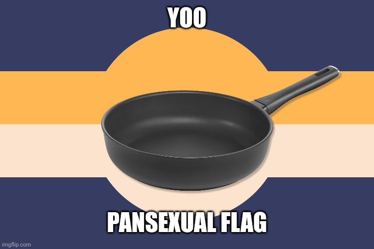 YOO; PANSEXUAL FLAG | made w/ Imgflip meme maker