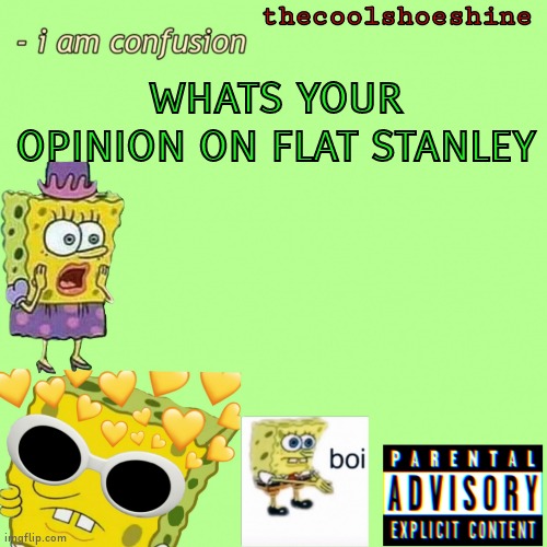 its so boring | WHATS YOUR OPINION ON FLAT STANLEY | image tagged in thecoolshoeshine announcement temp | made w/ Imgflip meme maker