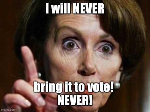 Nancy Pelosi No Spending Problem | I will NEVER bring it to vote! 
NEVER! | image tagged in nancy pelosi no spending problem | made w/ Imgflip meme maker