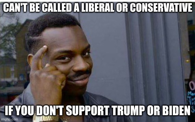 Logic thinker | CAN'T BE CALLED A LIBERAL OR CONSERVATIVE IF YOU DON'T SUPPORT TRUMP OR BIDEN | image tagged in logic thinker | made w/ Imgflip meme maker