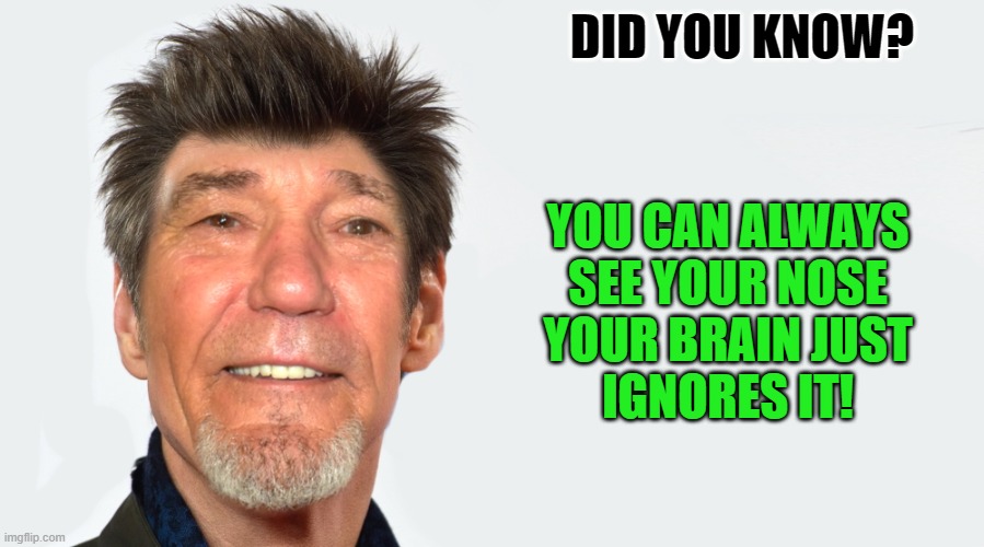 did you know? | DID YOU KNOW? YOU CAN ALWAYS SEE YOUR NOSE
YOUR BRAIN JUST
IGNORES IT! | image tagged in brain,ignore,nose,kewlew | made w/ Imgflip meme maker