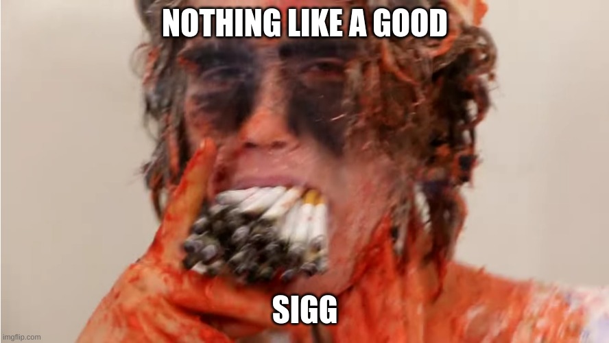 nothing like a good sigg | NOTHING LIKE A GOOD; SIGG | image tagged in cursed image | made w/ Imgflip meme maker