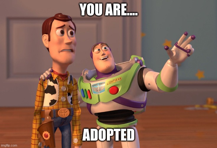 you are adopted! | YOU ARE.... ADOPTED | image tagged in memes,x x everywhere | made w/ Imgflip meme maker