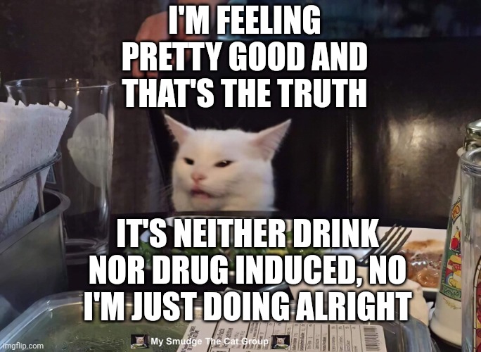 I'M FEELING PRETTY GOOD AND THAT'S THE TRUTH; IT'S NEITHER DRINK NOR DRUG INDUCED, NO
I'M JUST DOING ALRIGHT | image tagged in smudge the cat | made w/ Imgflip meme maker