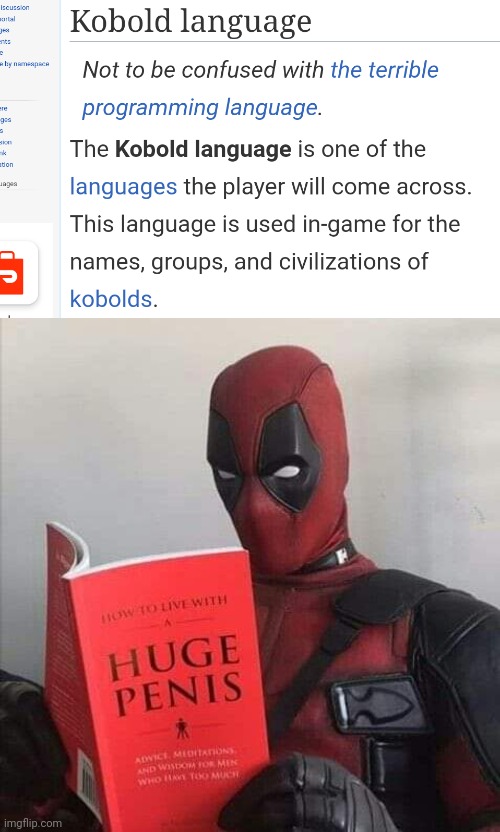 Deadpool Learns to Code | image tagged in deadpool,kobold,programming,coding | made w/ Imgflip meme maker