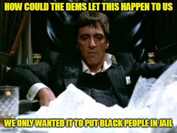 Scarface Cocaine | HOW COULD THE DEMS LET THIS HAPPEN TO US WE ONLY WANTED IT TO PUT BLACK PEOPLE IN JAIL | image tagged in scarface cocaine | made w/ Imgflip meme maker