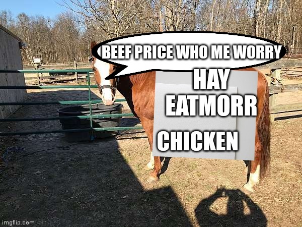 Smart horse | BEEF PRICE WHO ME WORRY; HAY EATMORR | image tagged in funny memes | made w/ Imgflip meme maker
