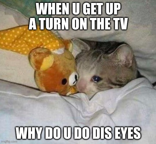why | WHEN U GET UP A TURN ON THE TV; WHY DO U DO DIS EYES | image tagged in crying cat | made w/ Imgflip meme maker