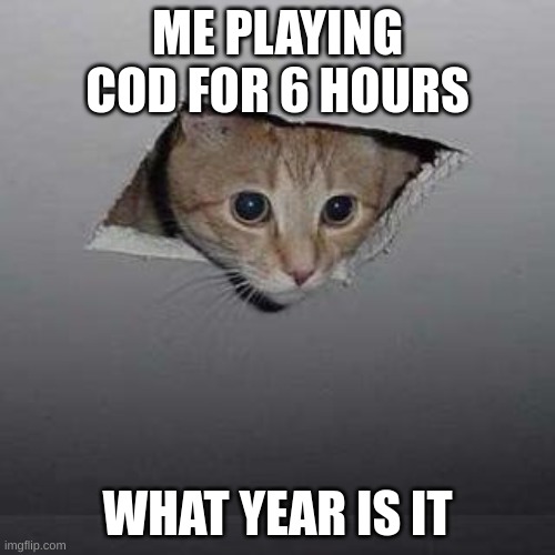 Ceiling Cat Meme | ME PLAYING COD FOR 6 HOURS; WHAT YEAR IS IT | image tagged in memes,ceiling cat | made w/ Imgflip meme maker