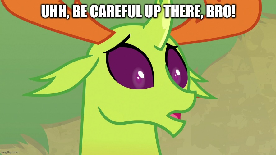 Confused Thorax (MLP) | UHH, BE CAREFUL UP THERE, BRO! | image tagged in confused thorax mlp | made w/ Imgflip meme maker