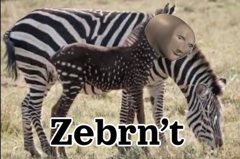 Zenbrnt Blank Meme Template