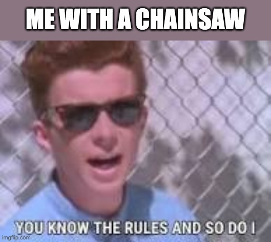 You know the rules and so do I | ME WITH A CHAINSAW | image tagged in you know the rules and so do i | made w/ Imgflip meme maker