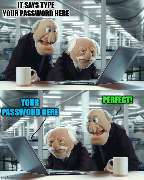password | IT SAYS TYPE YOUR PASSWORD HERE; YOUR PASSWORD HERE; PERFECT! | image tagged in password,jokes,kewlew | made w/ Imgflip meme maker