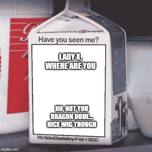 Missing Person | LADY X, WHERE ARE YOU; NO, NOT YOU DRAGON DUDE... NICE WIG THOUGH | image tagged in missing person | made w/ Imgflip meme maker