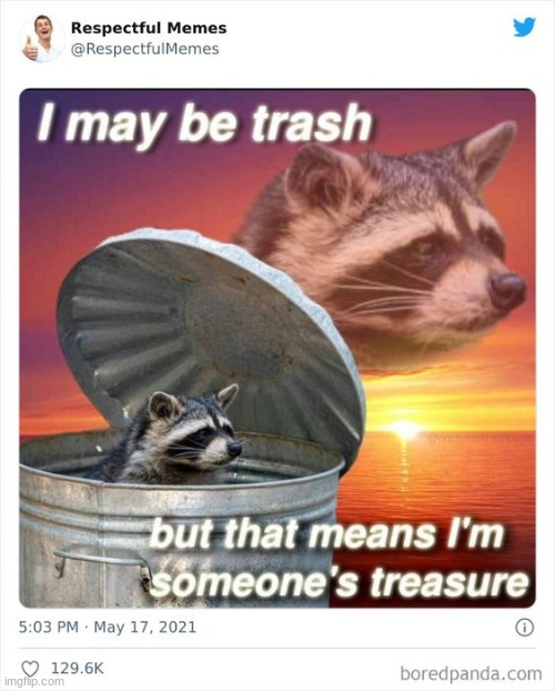 image tagged in racoon,trash | made w/ Imgflip meme maker
