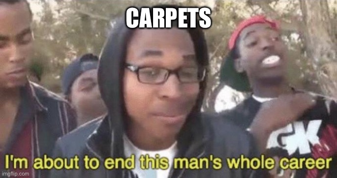 I’m about to end this man’s whole career | CARPETS | image tagged in i m about to end this man s whole career | made w/ Imgflip meme maker