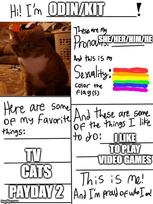 this is me! | ODIN/KIT; SHE/HER/HIM/HE; I LIKE TO PLAY VIDEO GAMES; TV; CATS; PAYDAY 2 | image tagged in hi im,lgbtq,lgbt,gay,cat | made w/ Imgflip meme maker