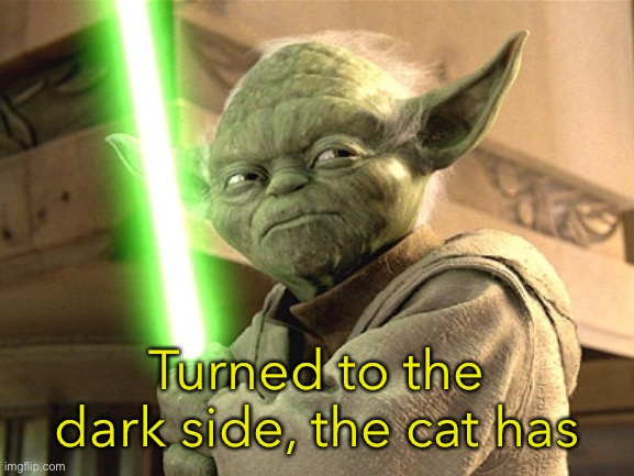 Yoda Lightsaber | Turned to the dark side, the cat has | image tagged in yoda lightsaber | made w/ Imgflip meme maker
