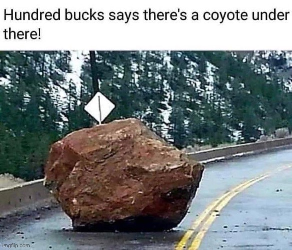 This cracked me up | image tagged in memes,wile e coyote | made w/ Imgflip meme maker