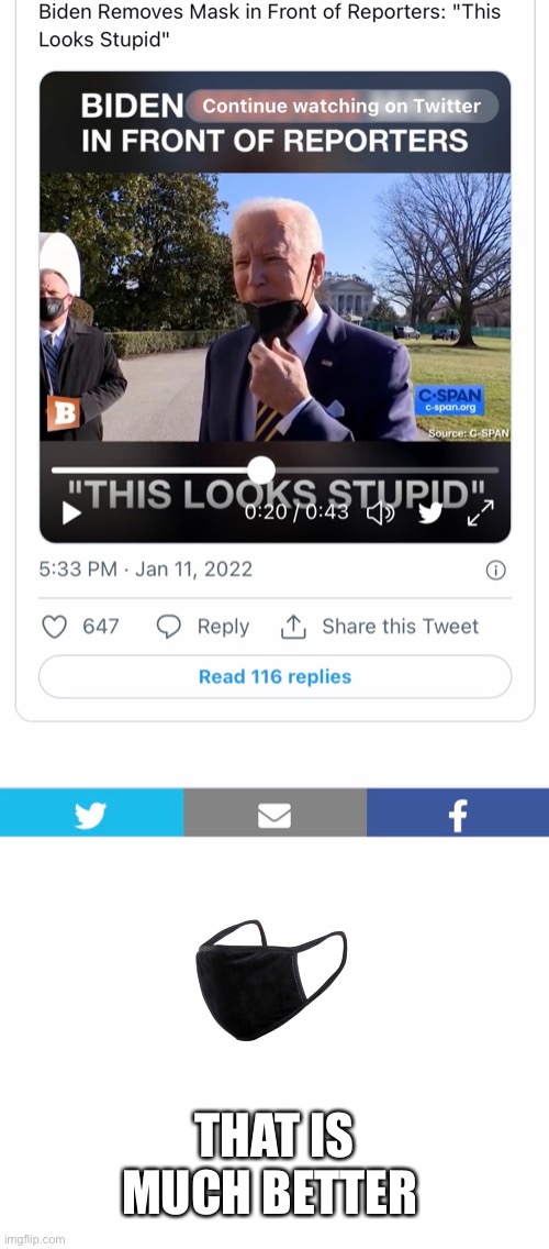 Yes, that does look stupid! | THAT IS MUCH BETTER | image tagged in blank white template,biden,removes mask,looks stupid | made w/ Imgflip meme maker