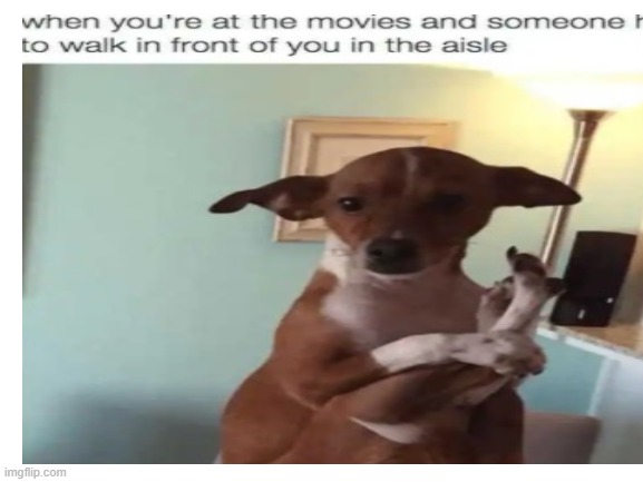 movies be like | image tagged in reallytrue,doggyputtinghislegsup | made w/ Imgflip meme maker