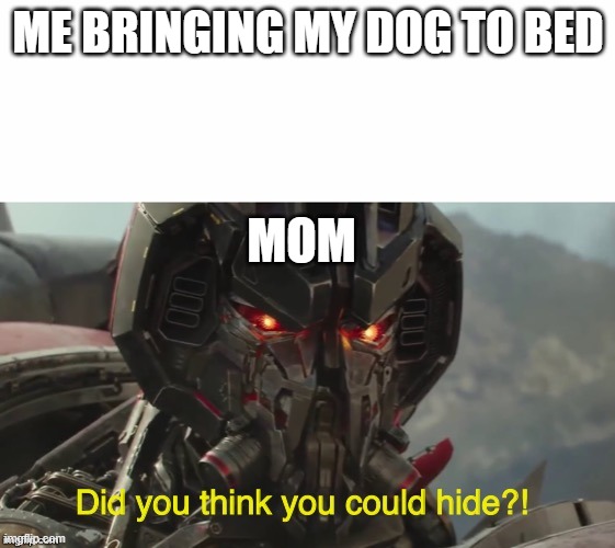 you cant hide | ME BRINGING MY DOG TO BED; MOM | image tagged in did you think you could hide | made w/ Imgflip meme maker