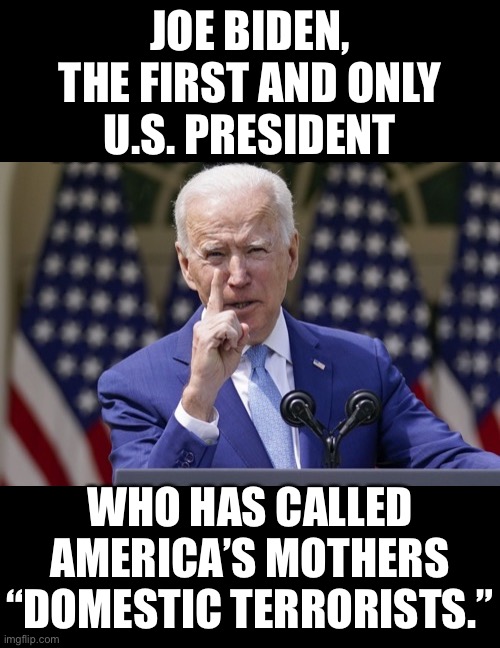 Joe Biden, the first and only … | JOE BIDEN,
THE FIRST AND ONLY
U.S. PRESIDENT; WHO HAS CALLED
AMERICA’S MOTHERS
“DOMESTIC TERRORISTS.” | image tagged in joe biden,biden,creepy joe biden,disgusting,democrat party,mothers | made w/ Imgflip meme maker