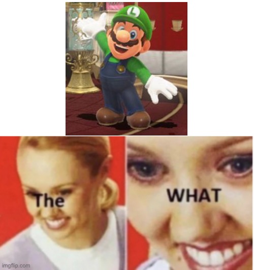 Mario as Luigi The WHAT | image tagged in the what | made w/ Imgflip meme maker