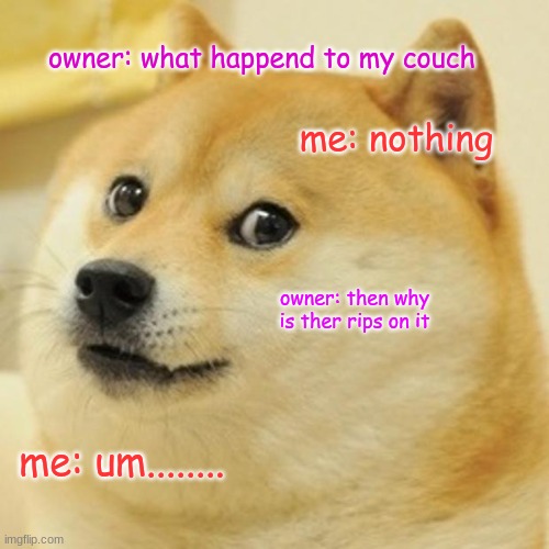 MY COUCH | owner: what happend to my couch; me: nothing; owner: then why is ther rips on it; me: um........ | image tagged in memes,doge | made w/ Imgflip meme maker