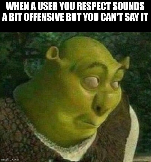 This just happened | WHEN A USER YOU RESPECT SOUNDS A BIT OFFENSIVE BUT YOU CAN'T SAY IT | image tagged in shrek face | made w/ Imgflip meme maker