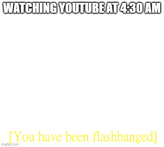 Turn on night light to prevent this ;) | WATCHING YOUTUBE AT 4:30 AM | image tagged in you have been flashbanged | made w/ Imgflip meme maker