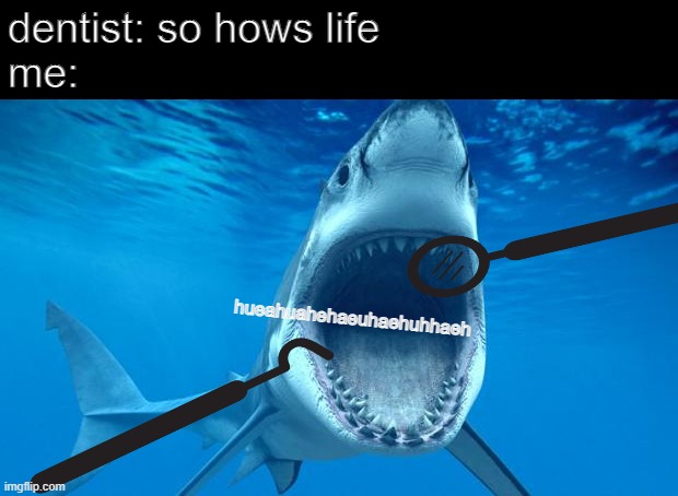shark open mouth | dentist: so hows life
me:; hueahuahehaeuhaehuhhaeh | image tagged in shark open mouth | made w/ Imgflip meme maker