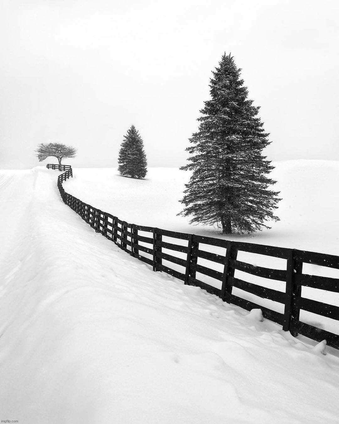 image tagged in awesome | made w/ Imgflip meme maker