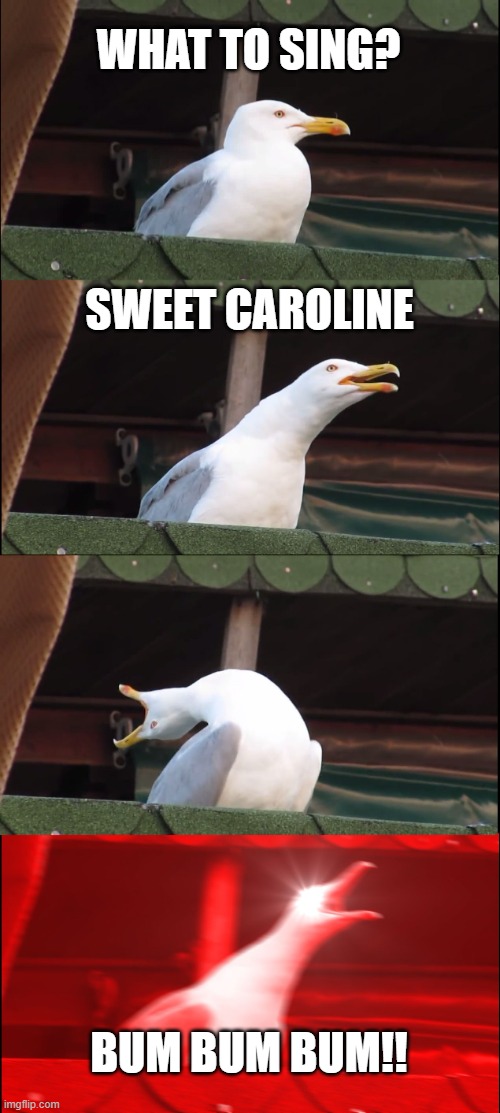 Sweet Caroline | WHAT TO SING? SWEET CAROLINE; BUM BUM BUM!! | image tagged in memes,inhaling seagull | made w/ Imgflip meme maker