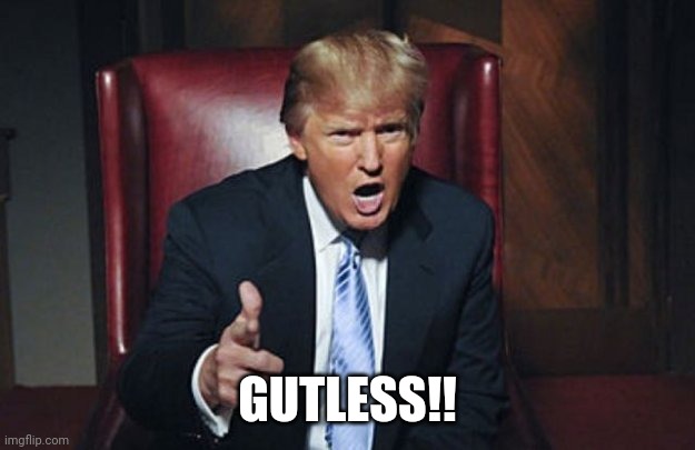 your fired | GUTLESS!! | image tagged in your fired | made w/ Imgflip meme maker