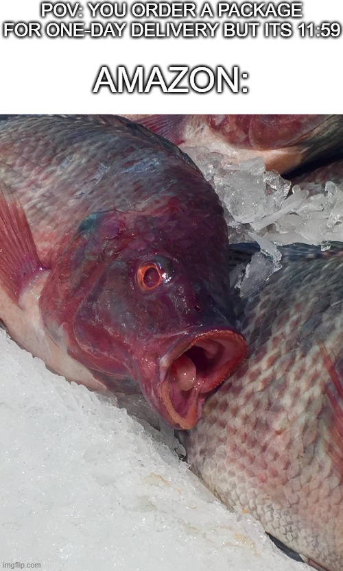 Fishy Gasp | POV: YOU ORDER A PACKAGE FOR ONE-DAY DELIVERY BUT ITS 11:59; AMAZON: | image tagged in oh no | made w/ Imgflip meme maker