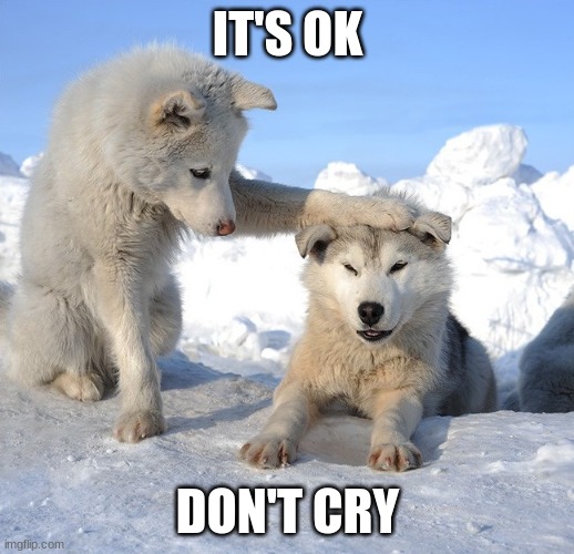 It's OK | IT'S OK DON'T CRY | image tagged in it's ok | made w/ Imgflip meme maker