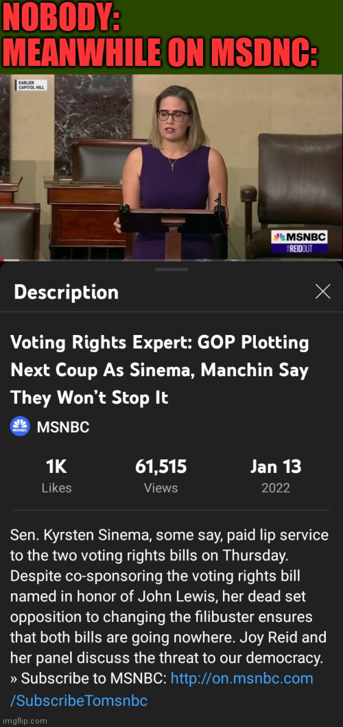 This is a real video... Their lunacy is astounding. |  NOBODY:
MEANWHILE ON MSDNC: | image tagged in manchin,senate,maga,voting,fake news,let's go brandon | made w/ Imgflip meme maker